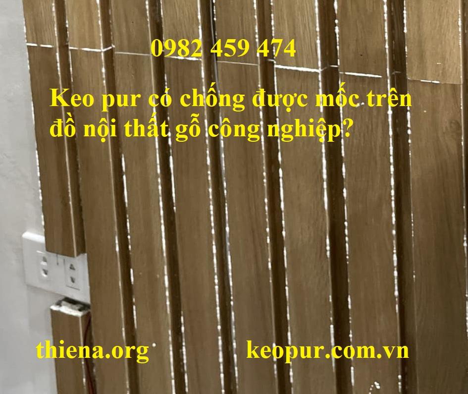 KEO PUR DÁN CẠNH ĐỒ NỘI THẤT GỖ CÔNG NGHIỆP CÓ CHỐNG ĐƯỢC MỐC?